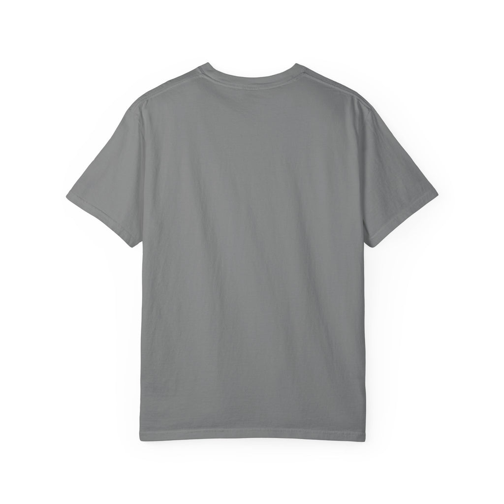 Scavenger Surveillance System T-shirt
