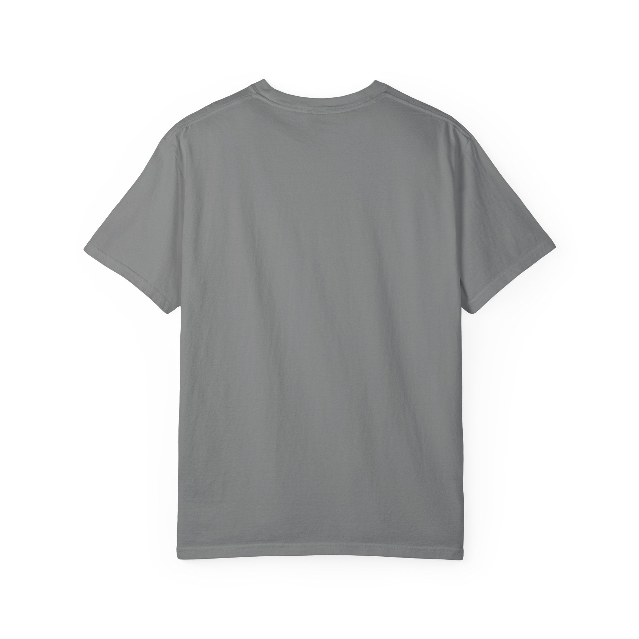 Scavenger Surveillance System T-shirt