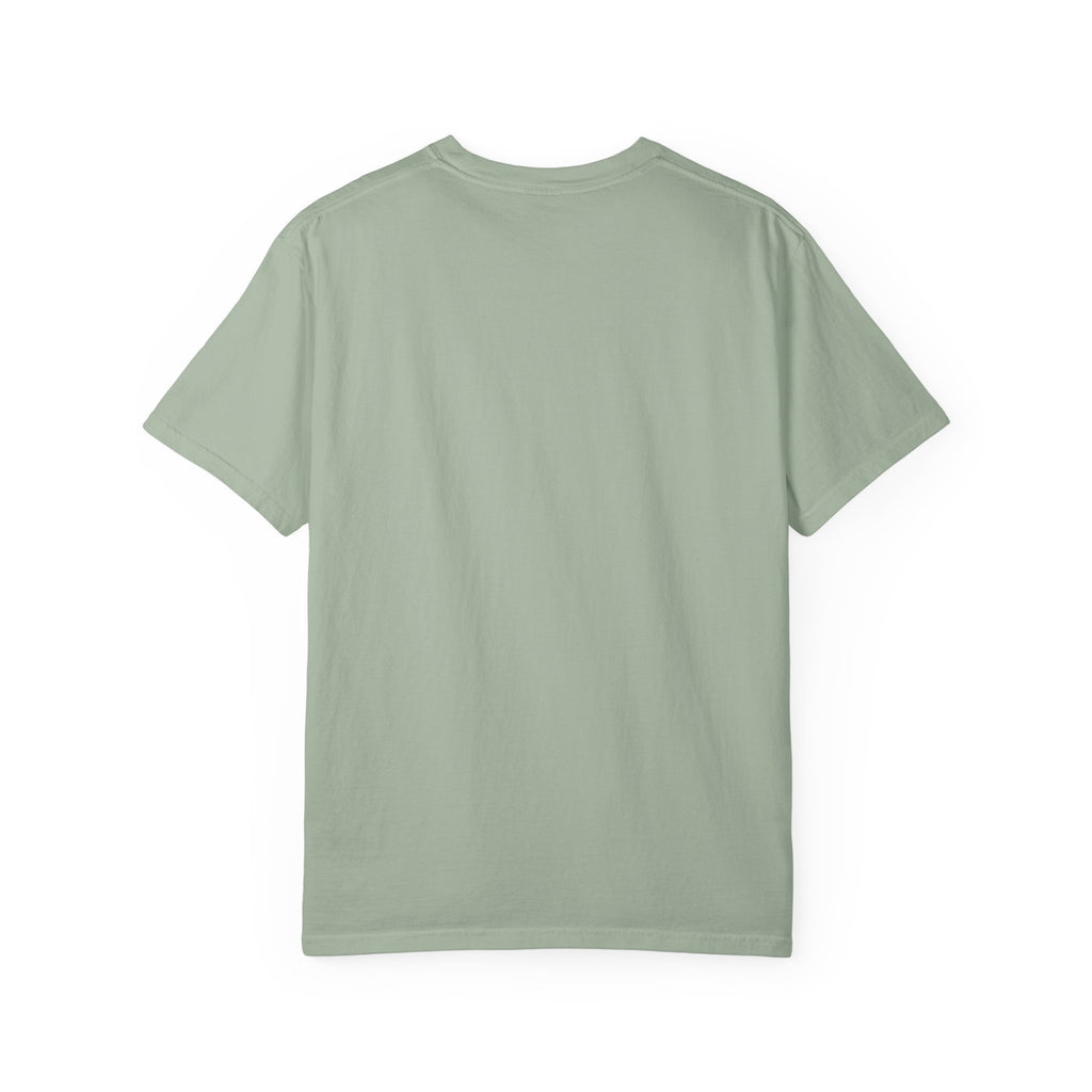 Scavenger Surveillance System T-shirt