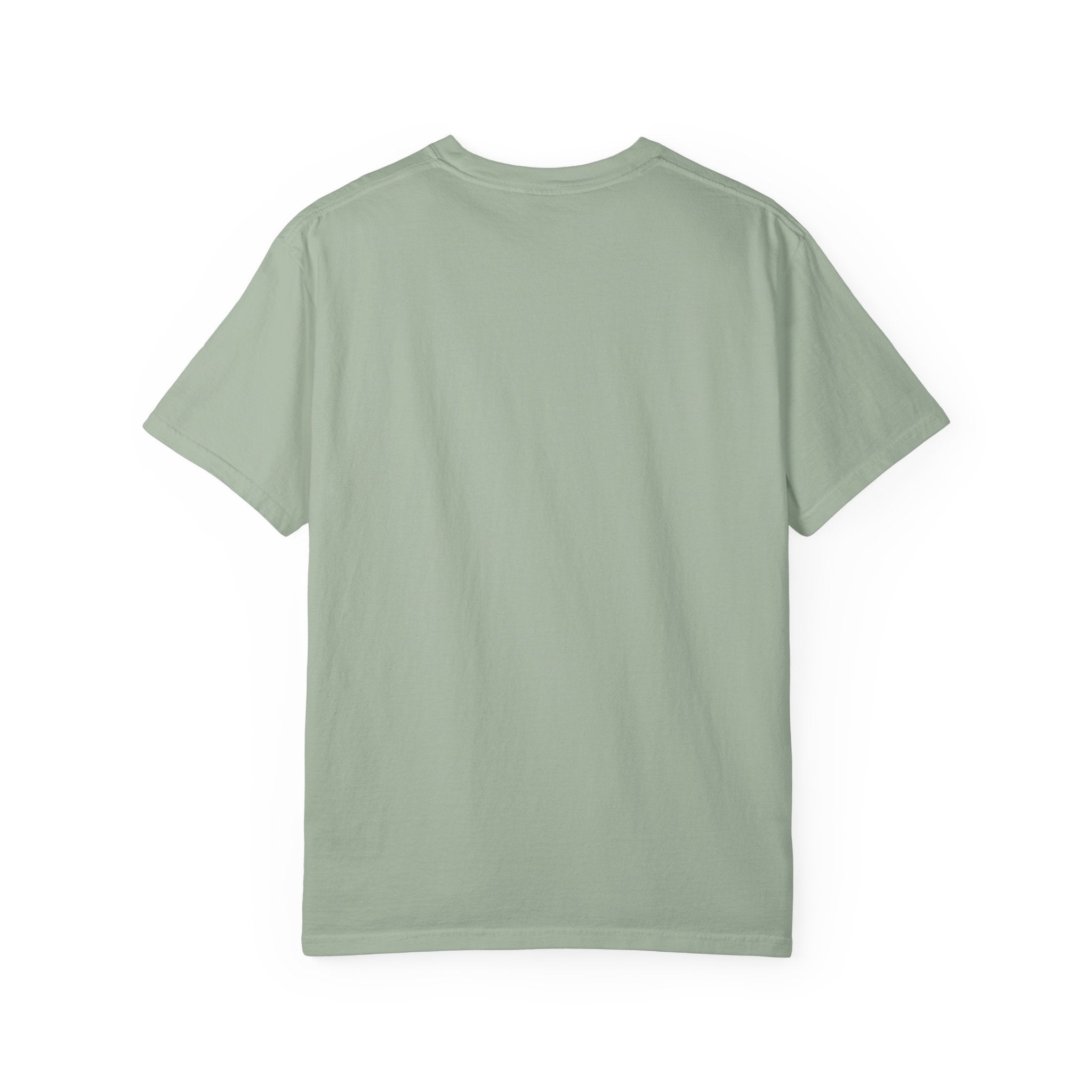 Scavenger Surveillance System T-shirt