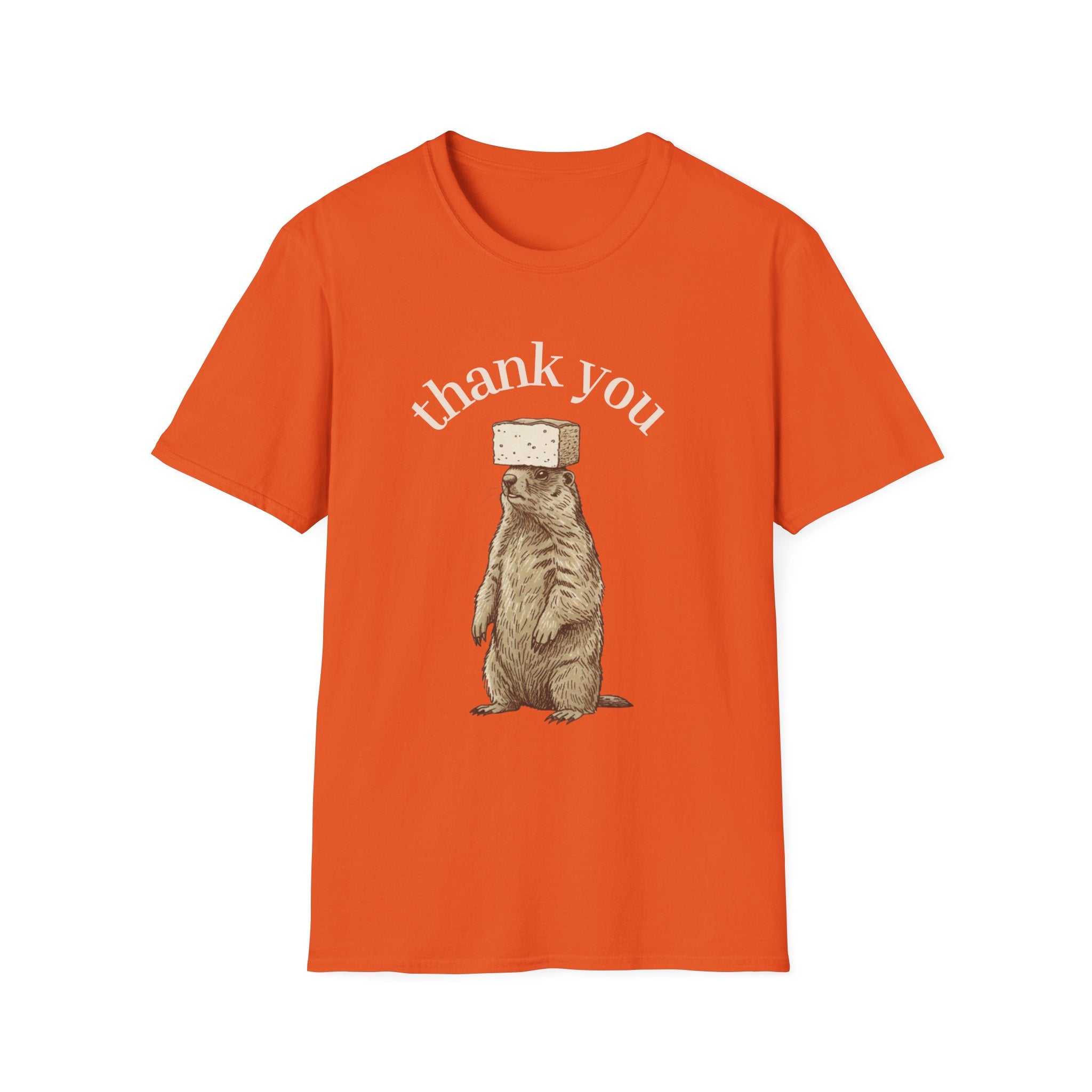 Cake on Mormota T-shirt
