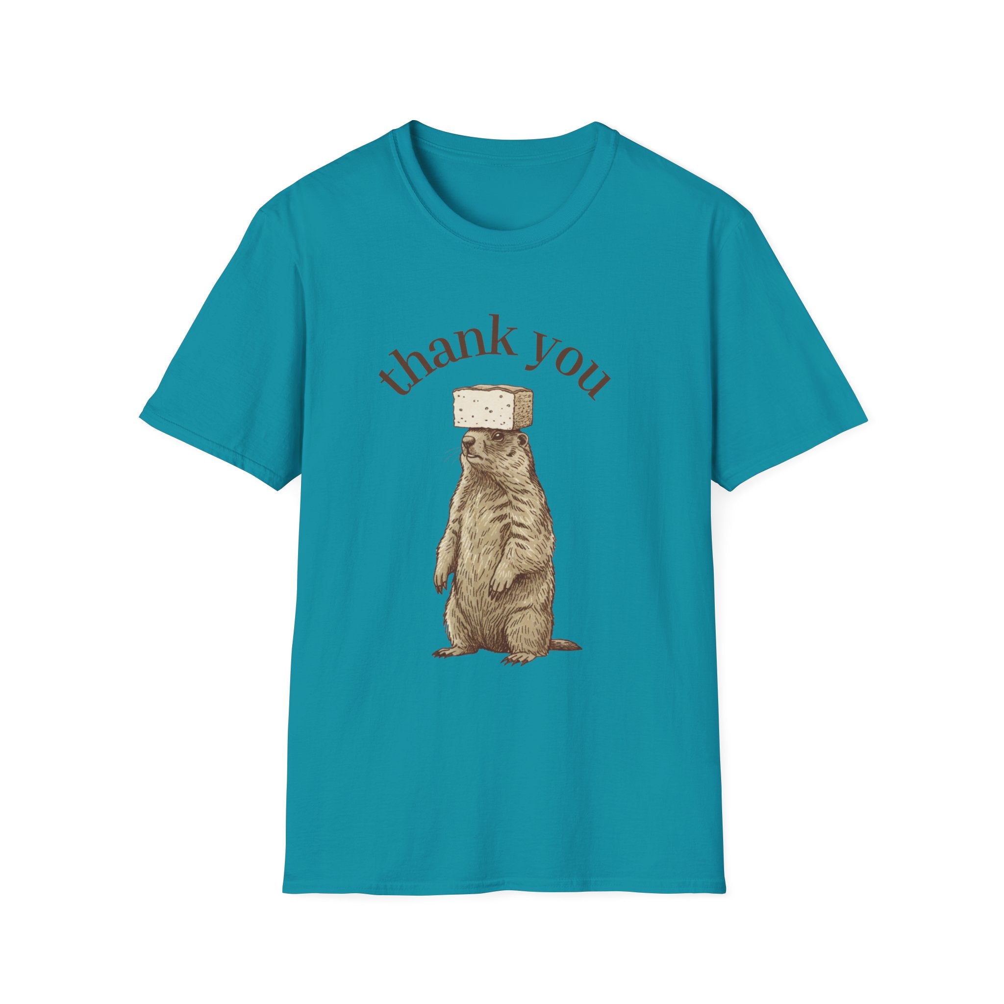 Cake on Mormota T-shirt