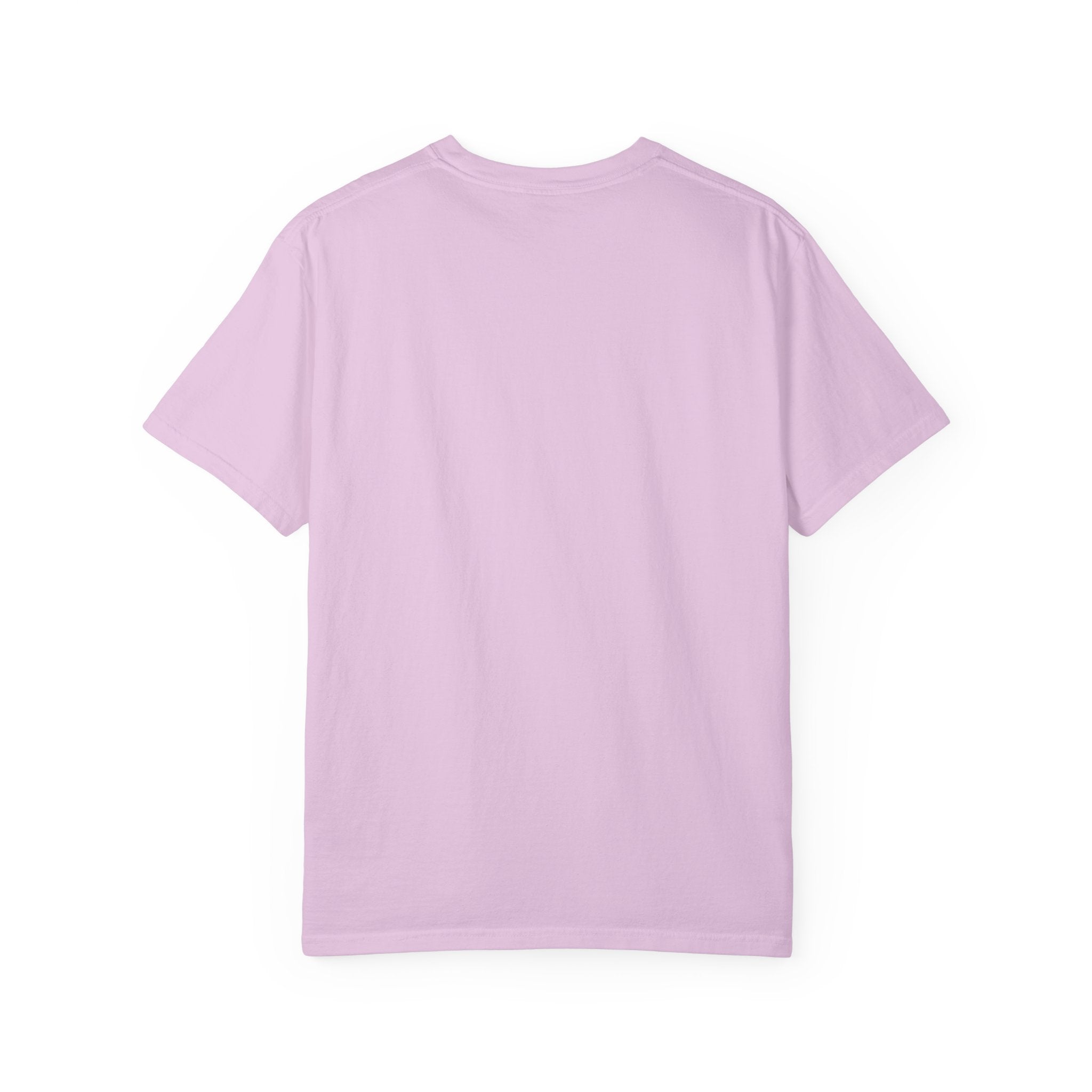 Scavenger Surveillance System T-shirt