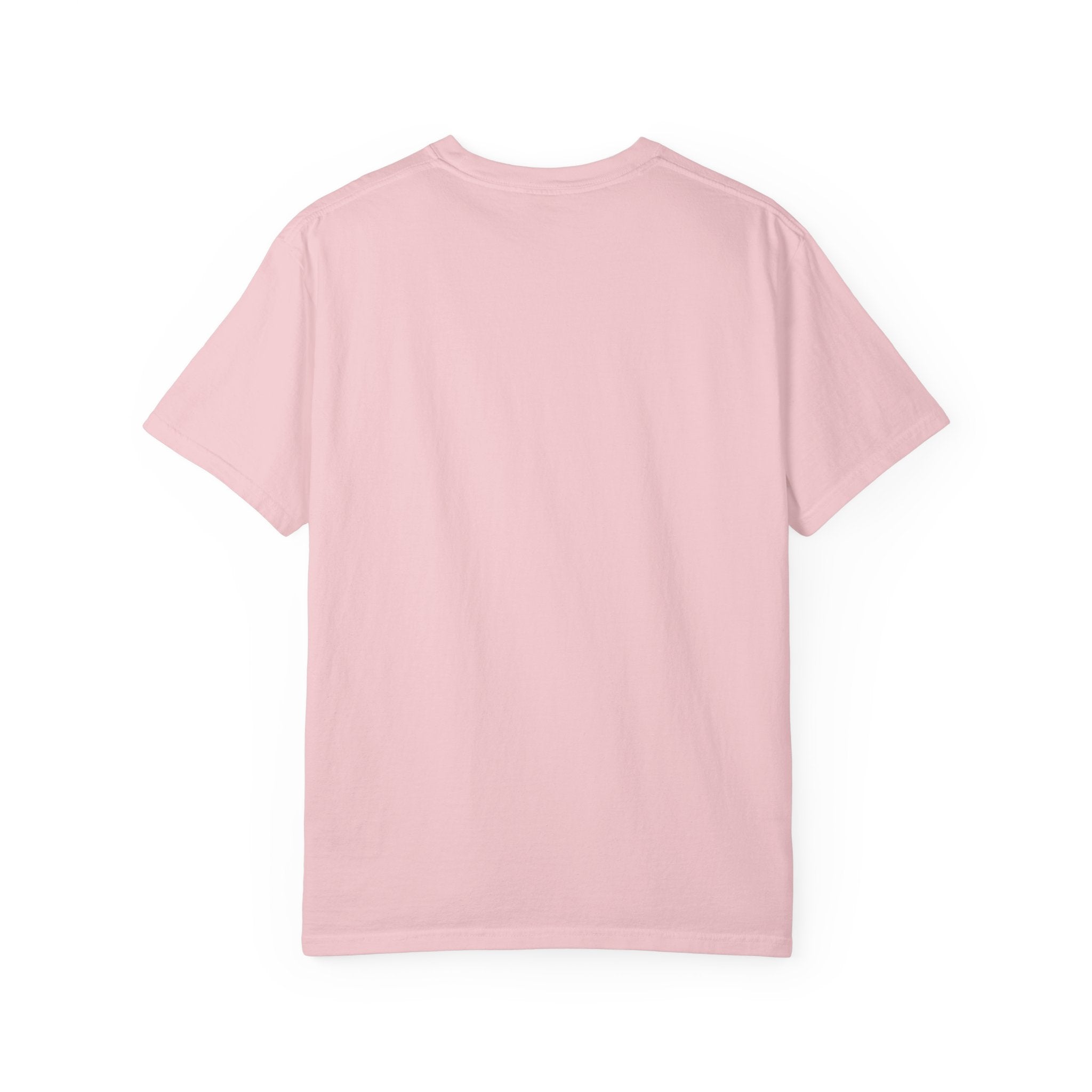 Scavenger Surveillance System T-shirt